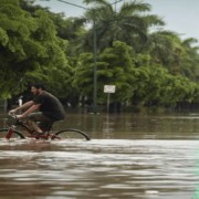 Los retos medioambientales en 2021