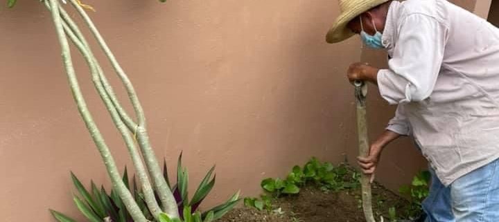 GMF Mexican Fibers